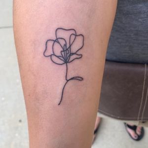 Meet your Posher, Jamie